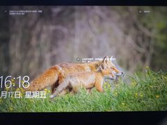 -丽华快餐(红庄国际店)