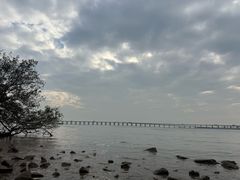 -宝安西湾红树林湿地公园