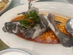 -顺德佬酒楼(粤海店)