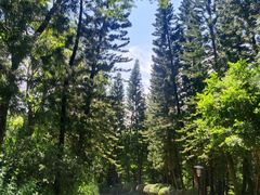 -深圳国际园林花卉博览园