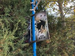 -京津新城温德姆至尊酒店(珠江大道店)