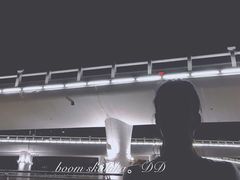 -演武大桥观景平台