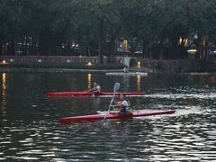 -荔湾湖公园