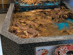 -蟹道乐(梅田店)