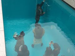 -金泽21世纪美术馆