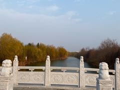 -洛阳市隋唐城遗址植物园