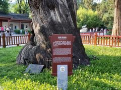 -黄帝陵