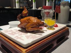 传统生炸红烧鸽-大鸽饭(体育西路店)