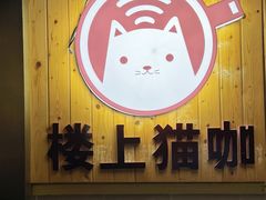 -楼上猫咖(罗湖店)
