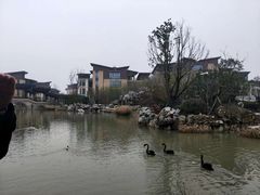 -国寿嘉园·苏州雅境