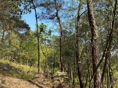 -南京市无想山景区