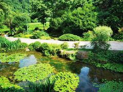 -中国茶叶博物馆(双峰馆区)