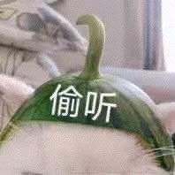 -金鸡岭桥头公园