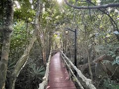 -三亚亚龙湾人间天堂鸟巢度假村