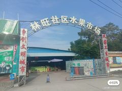 -林旺社区水果市场
