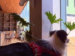 -山下C5cafe(惠通时代广场店)