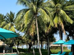 -海南清水湾莱佛士酒店