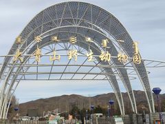 -大青山野生动物园