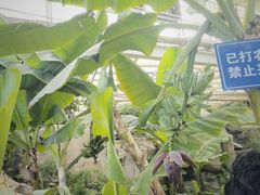 -石家庄市植物园