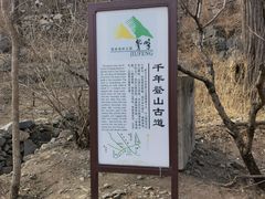-北京鹫峰国家森林公园