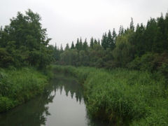 android_upload_pic-金沙遗址博物馆