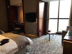 -常州环球恐龙城维景国际大酒店