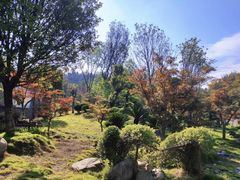 -哒啦仙谷旅游景区