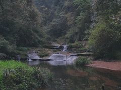 -碧峰峡风景区