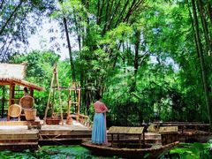 景点-望江楼公园