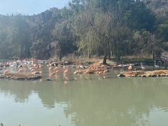 -宁波野生动物园
