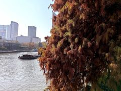 -运河游船(武林门码头)