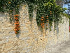 -广州白江湖森林公园