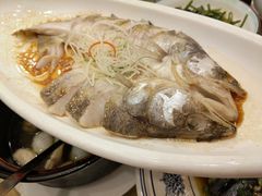 珍珠斑-城北食府(枫林店)