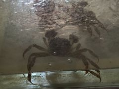 -丫丫蟹庄·苏式园林农家乐·阳澄湖大闸蟹(阳澄湖莲花岛店)