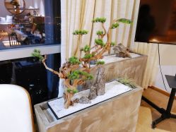 -松和日式美容整骨