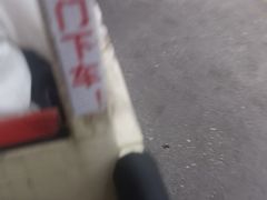 -深圳野生动物园