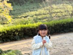 -杭州半山国家森林公园