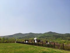 -石塘人家