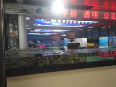-亚龙湾中心广场