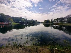 -新江湾城公园