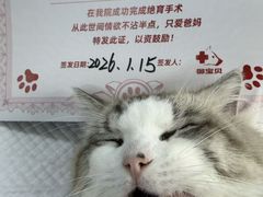 -御宝贝24h宠物医院·转诊中心·CT核磁血透中心(厦门总院)