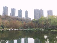 -重庆彩云湖湿地公园