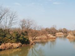 -西溪国家湿地公园