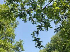 -玉渡山自然风景区