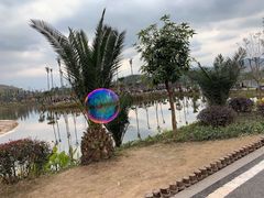 -枫香湖儿童公园