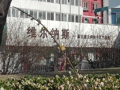 门面-维尔纳斯·生日蛋糕动物奶油冰淇淋蛋糕(人大店)