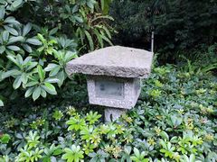 -广州兰圃
