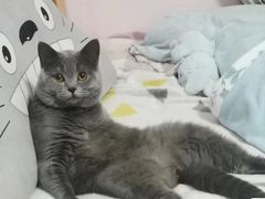 -客栈猫舍(中央北路店)