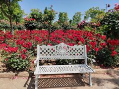 -武汉紫薇都市田园