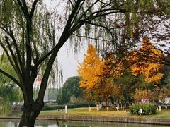 -中央公园(苏州工业园区)